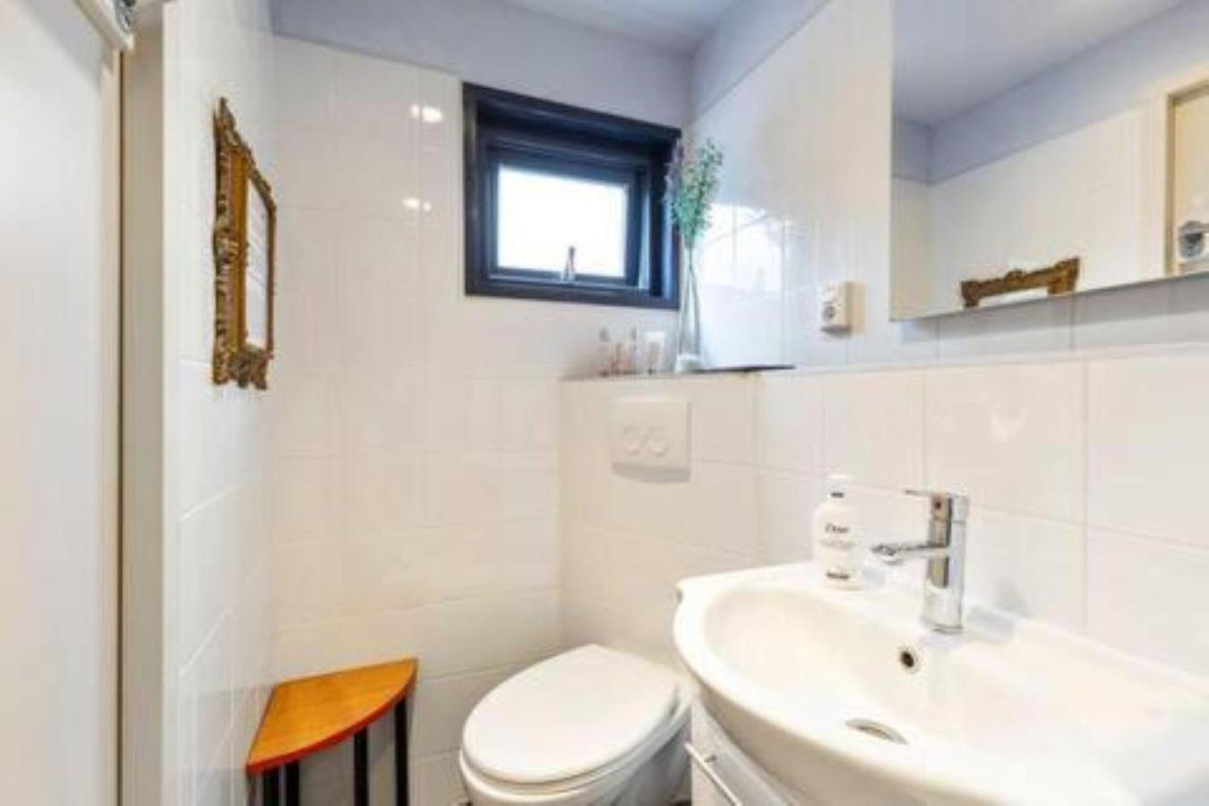 Authentic Dutch Houseboat In Amsterdam Zuid Villa Dış mekan fotoğraf